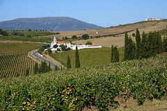 Campos de Alenquer