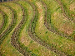 Curvas no Douro
