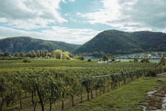 Dürnstein