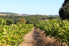En rangs serrés