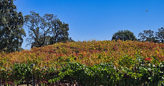Fall Colors are beginning