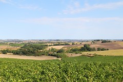 Le pays gascon prend ses aises...