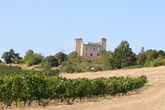 L'histoire enracinée
