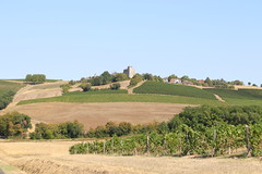 Mansencôme, en surplomb des vignes