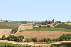 Mansencôme, par-delà les vignes...