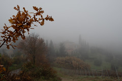 NEBBIA INTORNO A CASA_0023
