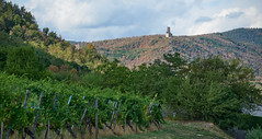 Ramstein (left) and Ortenbourg (right) castles - Castillos del Ramstein (izquierda) y Ortenbourg (derecha)