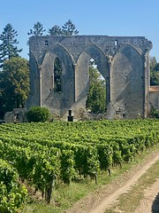 Saint Emilion