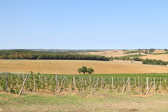 Un terroir en heritage...