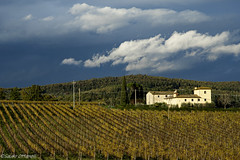 Visioni in autunno