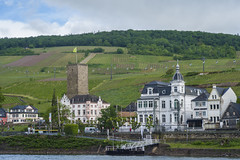 Wellcome To  Rüdesheim!