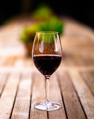 Wine Glass #62