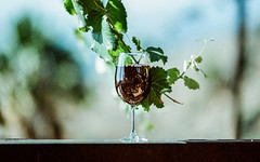 Wine Glass #63