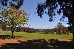 15385 DSC_0005 The view from the winery