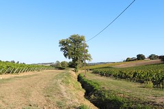 Au fil du paysage...