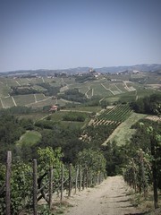 Barolo DOCG Cannubi