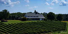 CeNita Vineyards Pavillion