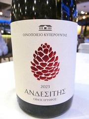 [Cy] KYPEROUNDA ANDESSITIS Lemesos 2023 - Finikas, Polis {29 €} (12.10.26) [5290089 000786]