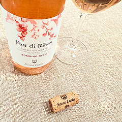 Fior di Ribes (Bombino nero rosé)