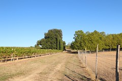 La vie, de part et d'autre