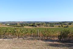 Les côteaux d'Heux (Larroque-sur-l'Osse)