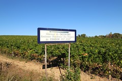 L'histoire au cœur des vignes...