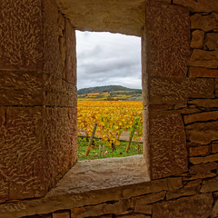 Lucarne sur vignes