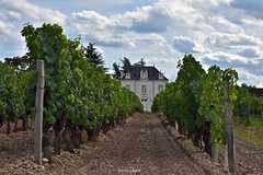 Panzoult, lieu-dit Roncé