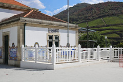 Pinhão - Alijó