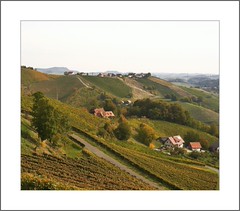 Südsteiermark - Die alte Glanzer Kellerstraße