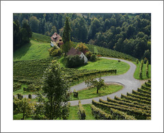 Südsteirische Weinstraße - Am Eorykogel