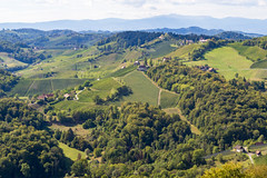 Südsteirisches Weinland
