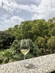 Vermentino di Gallura