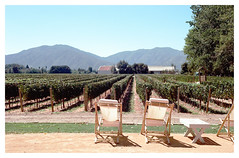 Viñas Viejas at Cunaco