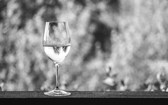 Wine Glass #64