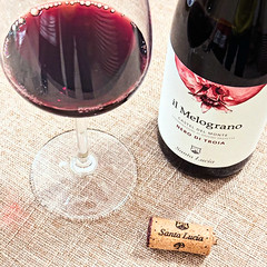 il Melograno (100% Nero di Troia)